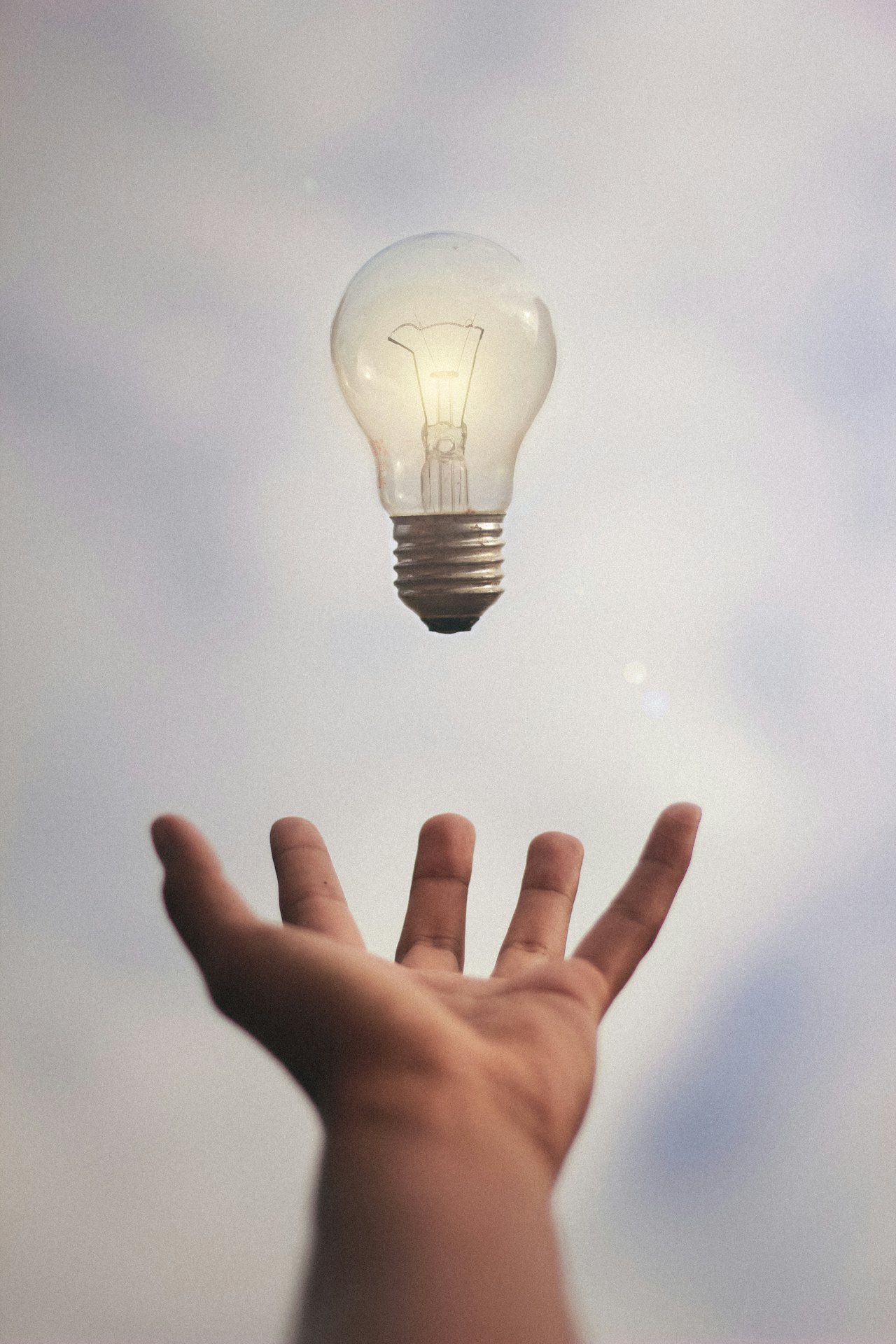 Qualified electricians in Tampa Bay